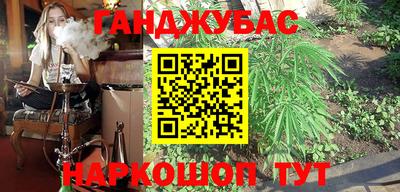 индика Новодвинск