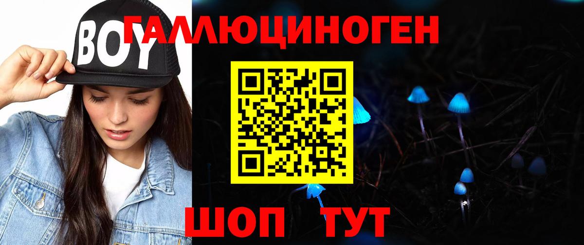 Галлюциногенные грибы Psilocybe  Вход с VPN  Псилоцибиновые грибы ЛСД  Пушкино 